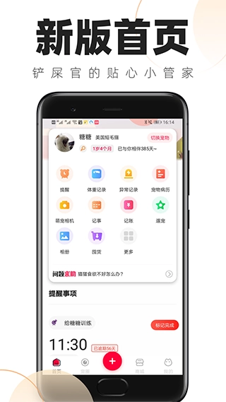 铲屎官的日常安卓直装版图1
