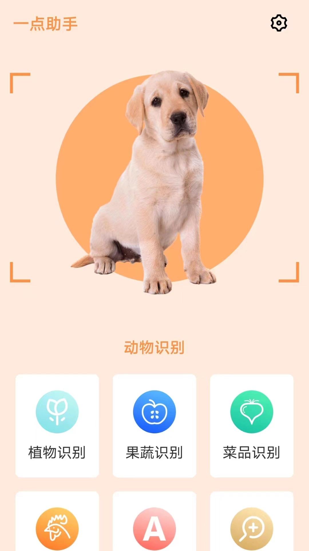 一点助手安卓免费版图4