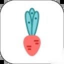 柠檬点点安卓版