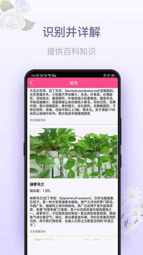 拍照识花神器手机最新版图2
