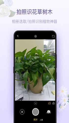 拍照识花神器手机最新版图4