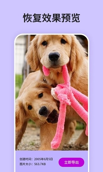 强力恢复精灵图3