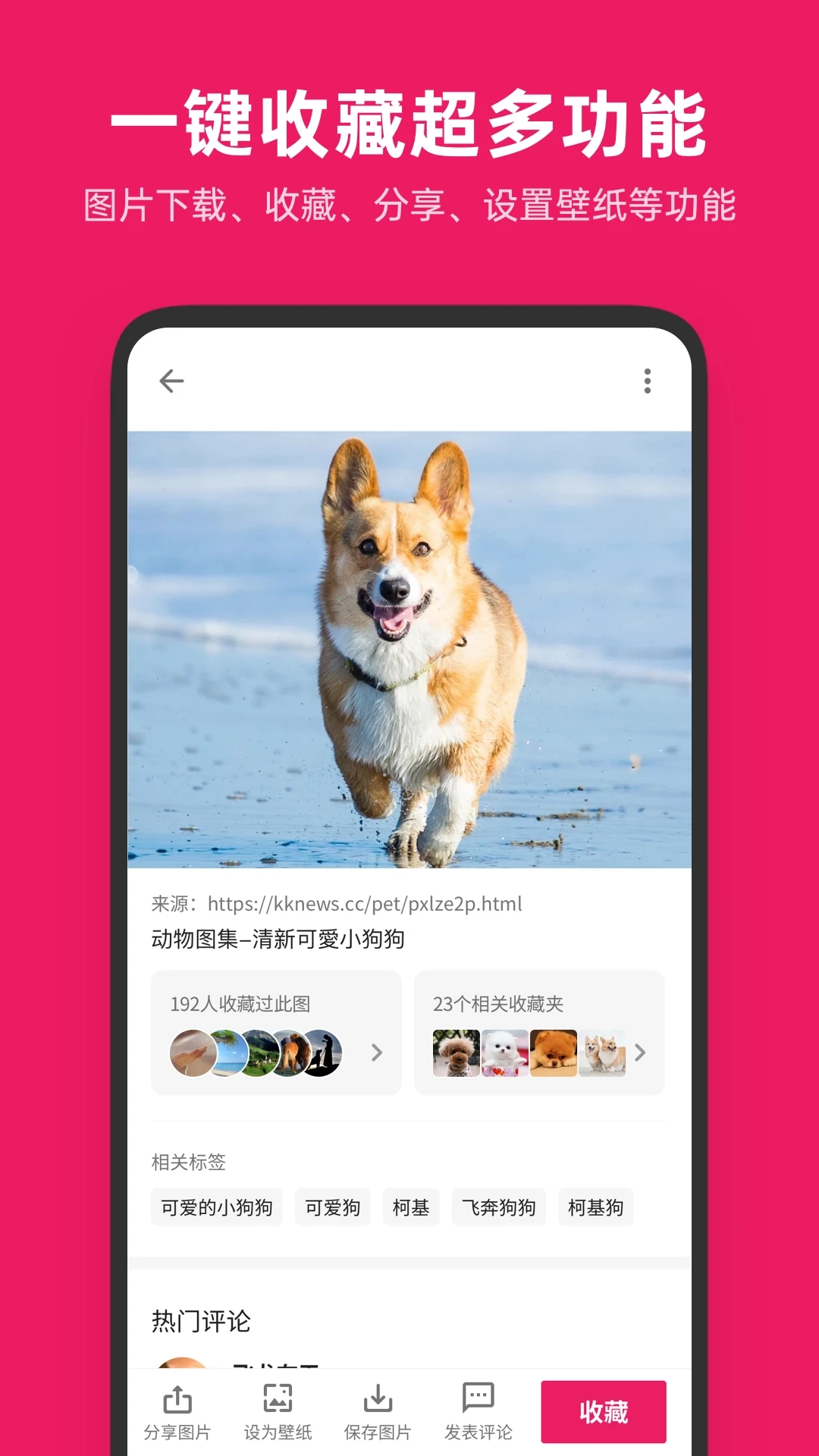 图片搜搜安卓版图2