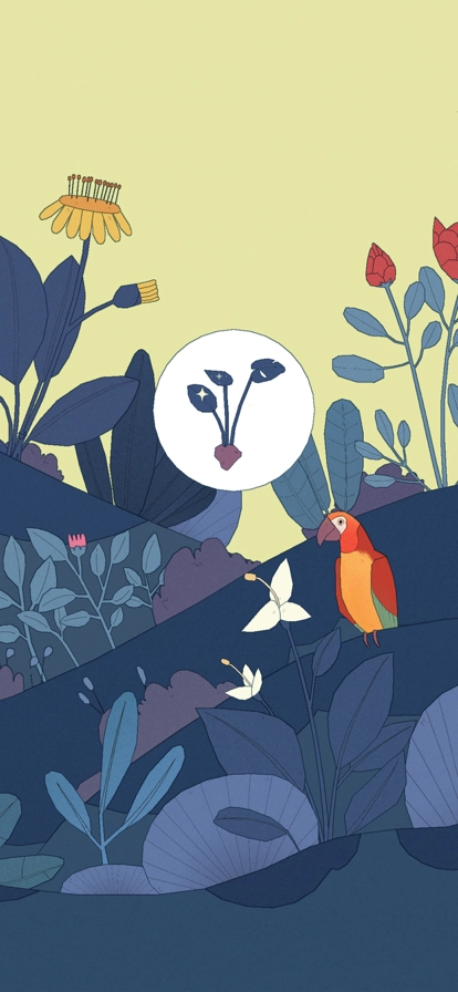 孤独的鸟儿最新版图2
