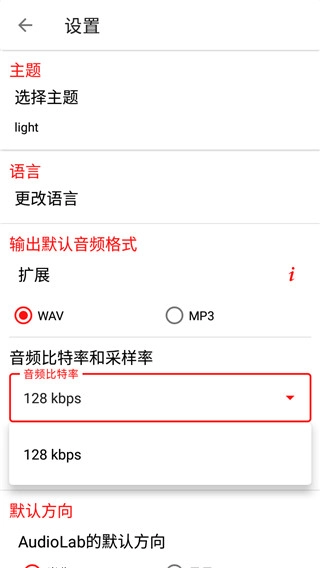 Audiolab正版(1)