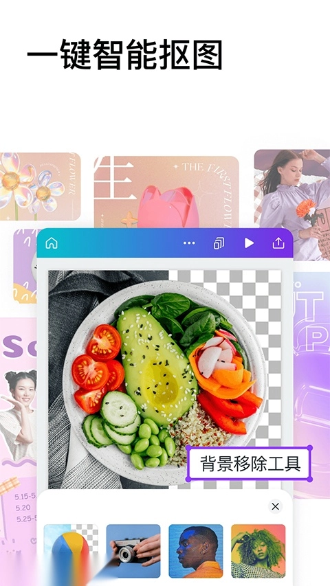 canva可画官方正版图2