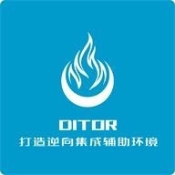 ditor原版