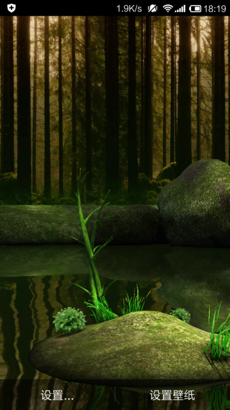 森林的另一边图2