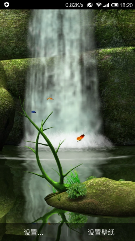 森林的另一边图1