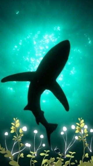 深海绿豆动态壁纸图3