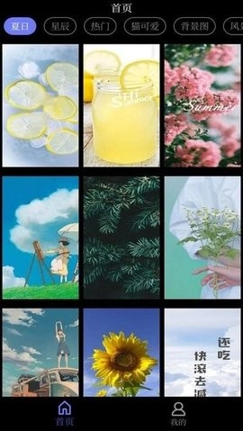 花田动态壁纸图1