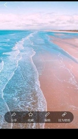 花田动态壁纸图2