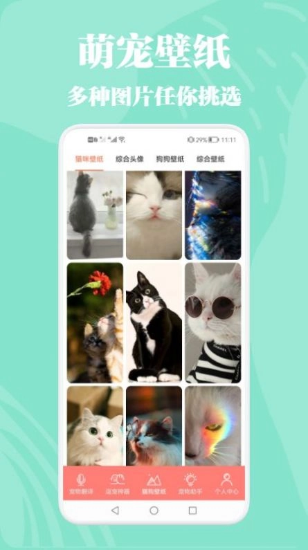 猫狗动物交流器图3