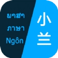 小兰翻译V1.2.4