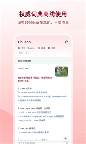 西语助手安卓官方版图3