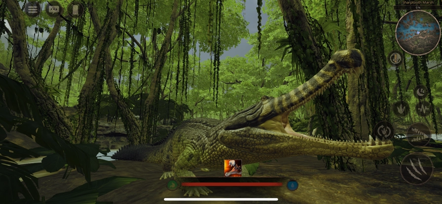 泰坦之路国际服