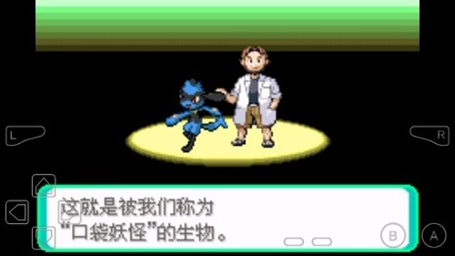 口袋妖怪冰之冒险图3