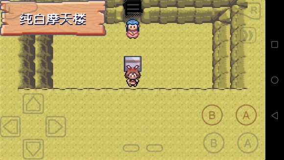 口袋妖怪雪之白(3)