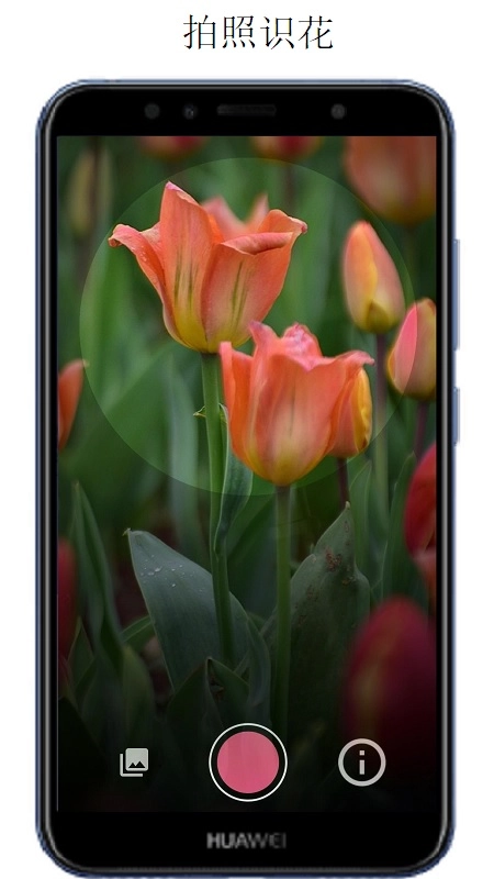 万物识别扫一扫图2