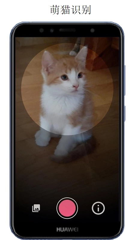 万物识别扫一扫图3