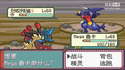 口袋妖怪永恒之沫(1)