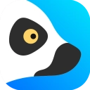 狐猴浏览器原版
