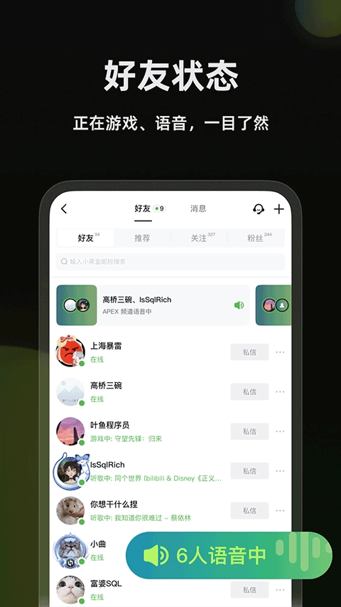 黑盒语音图5