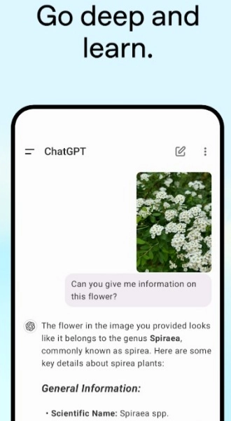 免费ChatGPT中文版图2