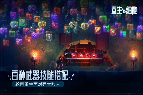 重生细胞最新版(3)