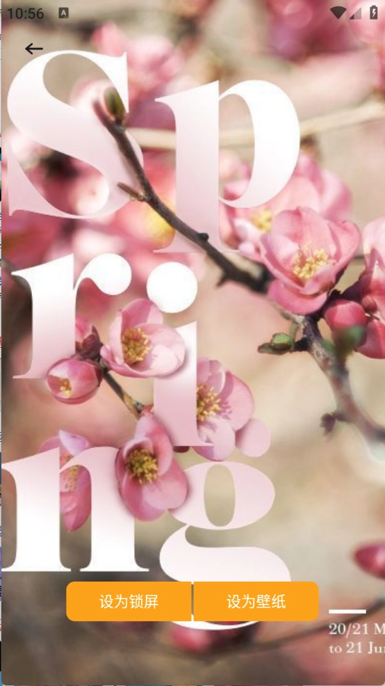 爱酱壁纸截图3