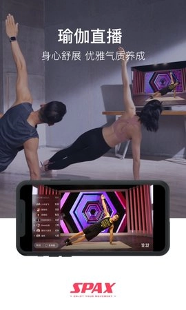 SPAX图3