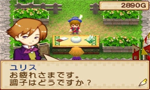 牧场物语风之集市安卓直装版图2