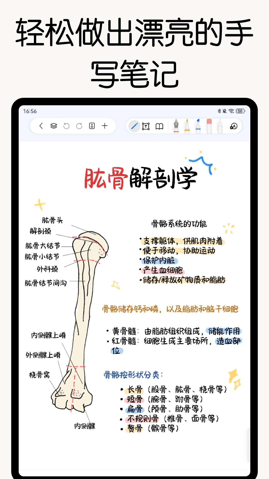 自由笔记原版图3