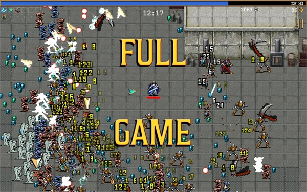 吸血鬼幸存者安卓版(5)