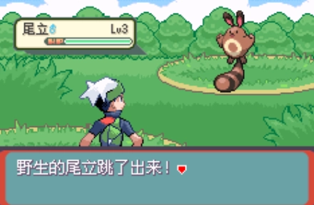 口袋妖怪传说绿宝石手机版2