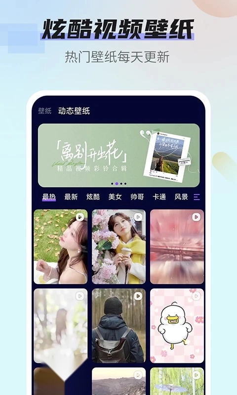 番茄动态壁纸原版图2
