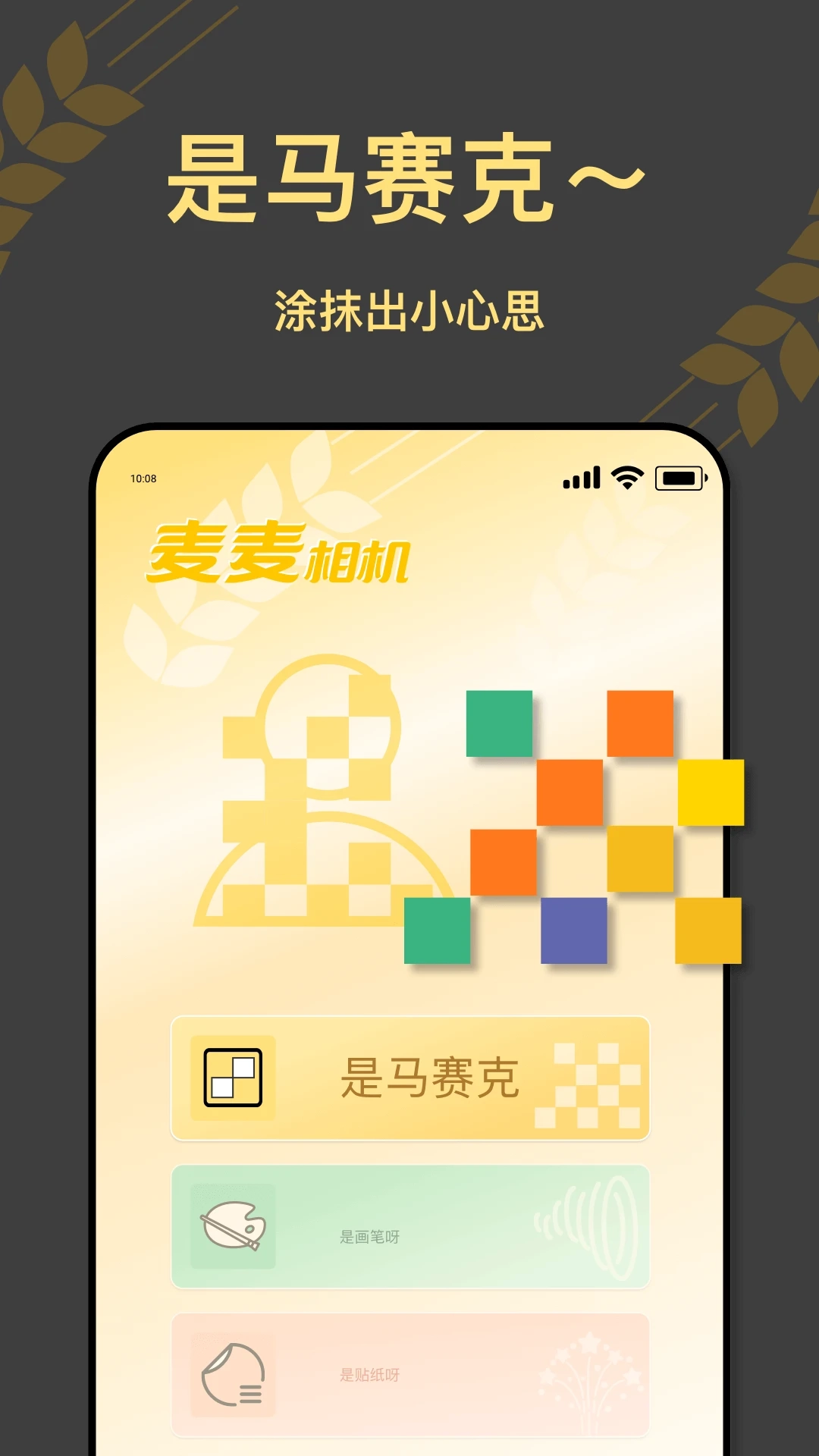 麦麦相机原版图1