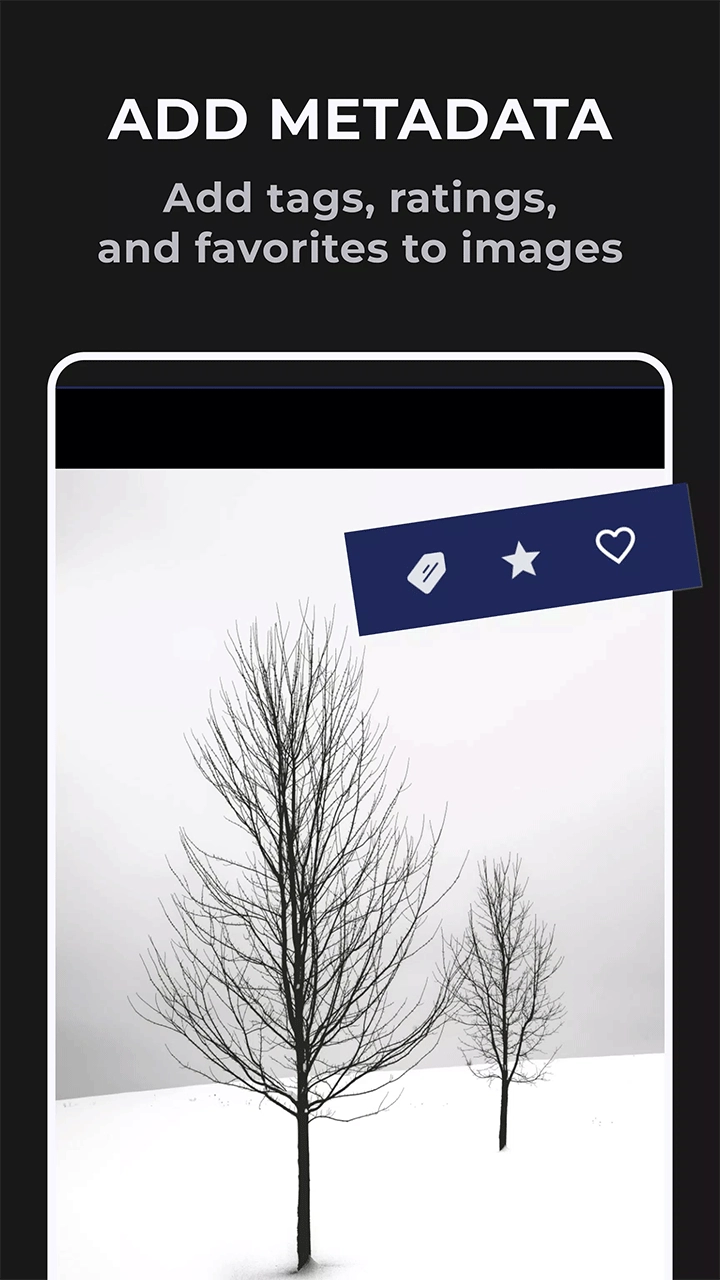 f-stop图1