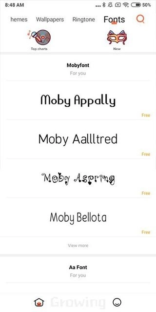 小米主题国际版(2)