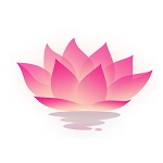 荷花工具箱正版