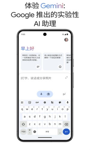 谷歌Gemini(3)