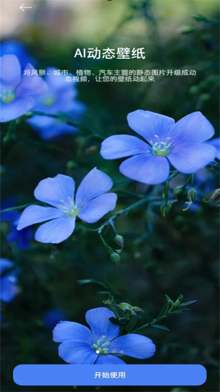 AI动态壁纸生成器图1