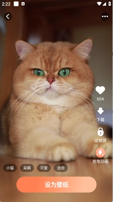 灵通互动壁纸图4