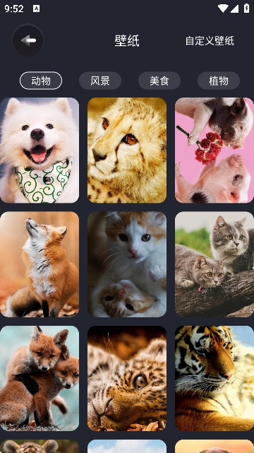 反拖延计时器图4