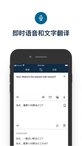 Deepl(4)