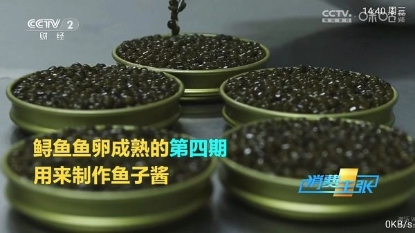 pn播放器图2
