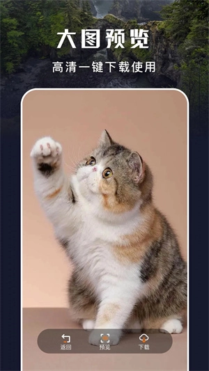 主题盒免费版安卓下载