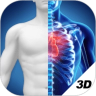 3D人体解剖图谱