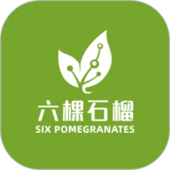 六棵石榴
