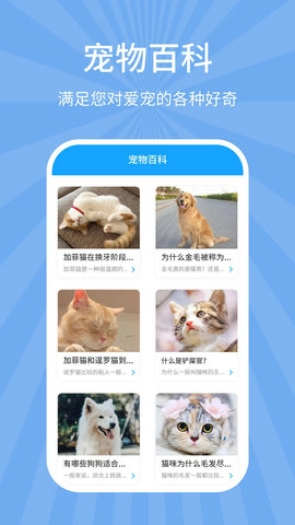 狗猫翻译器图3